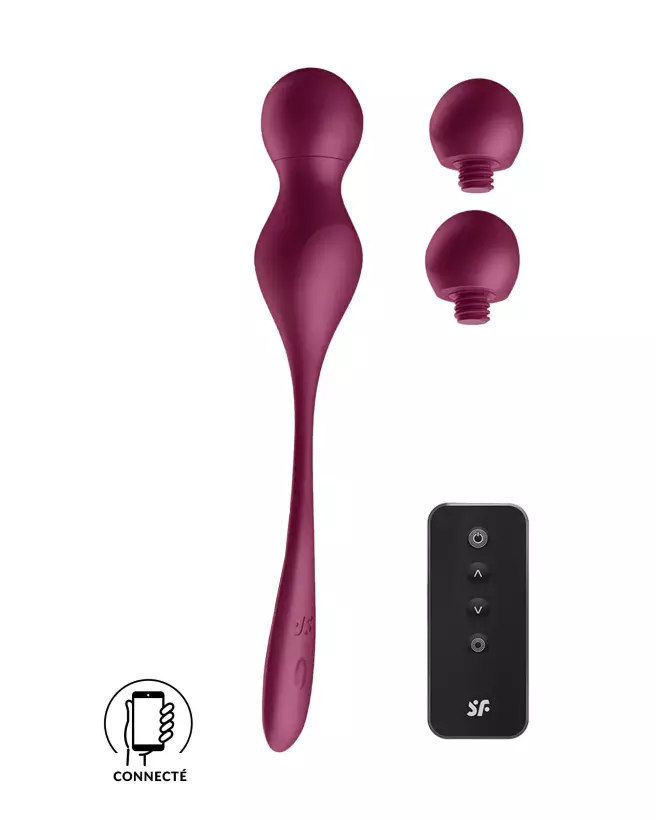 Photo des Boules de Geisha Satisfyer Love Birds Vary App Rou-1