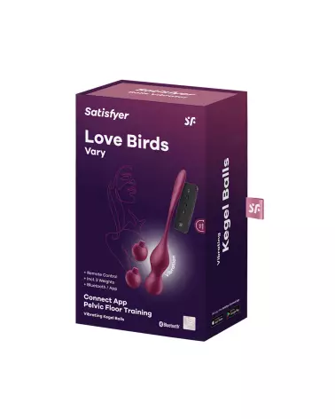 Photo des Boules de Geisha Satisfyer Love Birds Vary App Rou-2