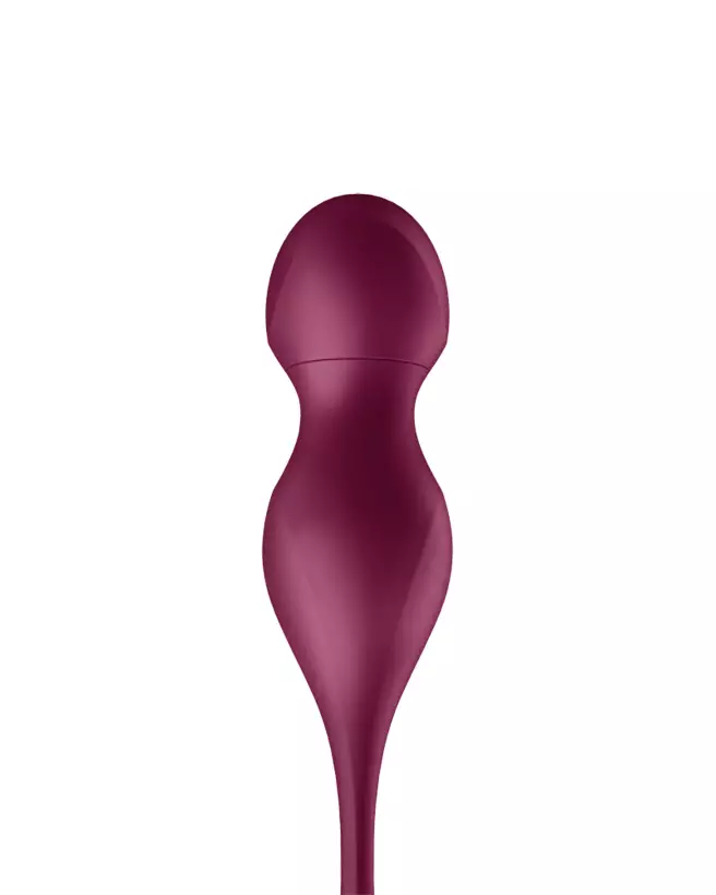Photo des Boules de Geisha Satisfyer Love Birds Vary App Rou-4