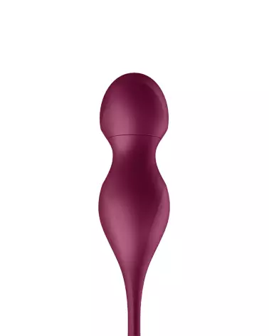 Photo des Boules de Geisha Satisfyer Love Birds Vary App Rou-4