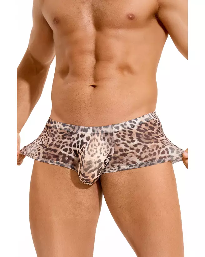 Boxer léopard en résille pour homme Paris Hollywood taille S/M-4