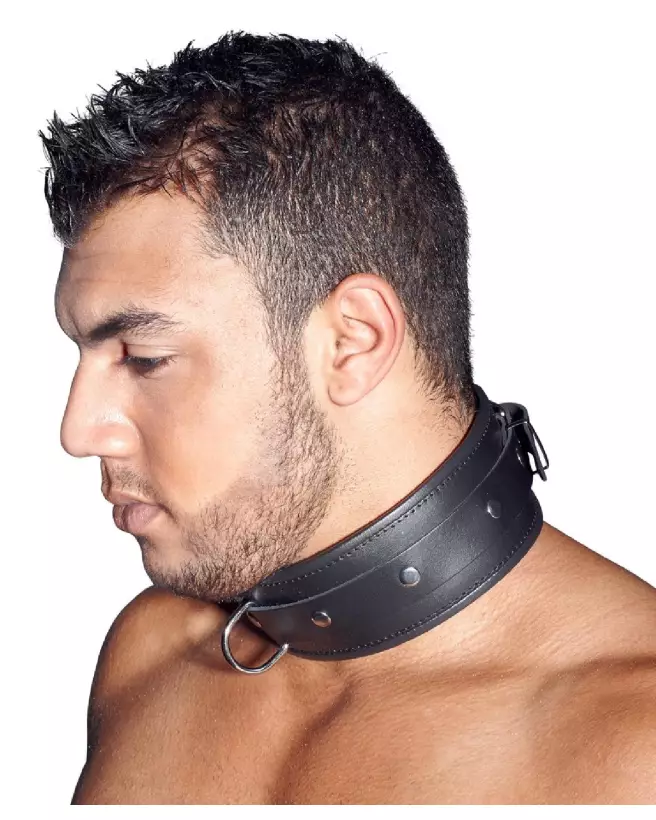 Collier en cuir ZADO pour chien, élégant et robuste-5
