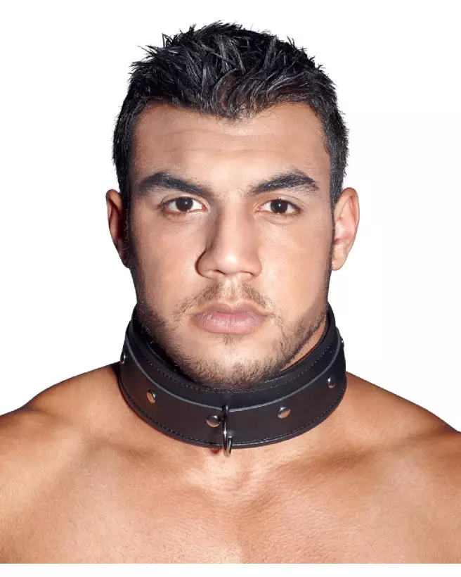 Collier en cuir ZADO pour chien, élégant et robuste-6