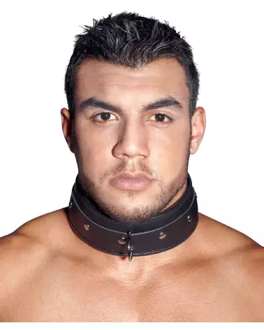 Collier en cuir ZADO pour chien, élégant et robuste-6