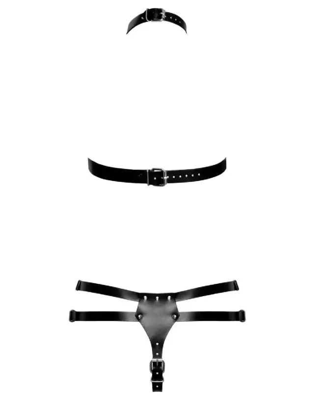 Image du Harnais en Cuir ZADO haute qualité, élégant et durable-7