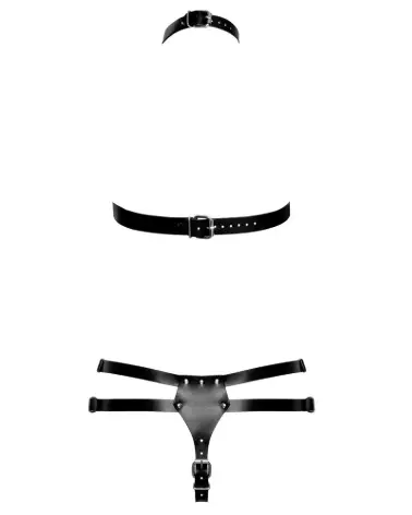 Image du Harnais en Cuir ZADO haute qualité, élégant et durable-7