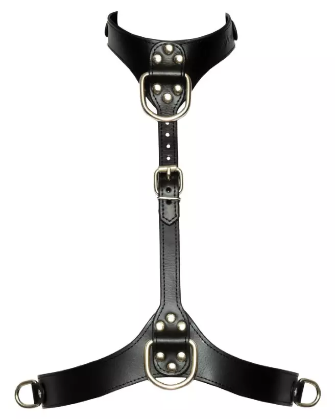 Image du Harnais Poitrine Bad Kitty S-L, ajustable et élégant-6