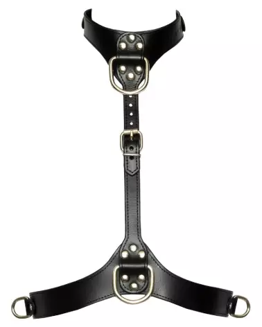 Image du Harnais Poitrine Bad Kitty S-L, ajustable et élégant-6