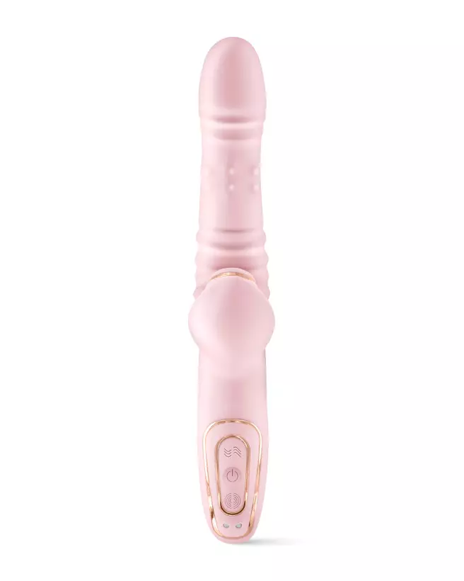 Image du lapin YOBA Lively, idéal pour familles et débutants, montrant son pelage doux et ses yeux expressifs-5