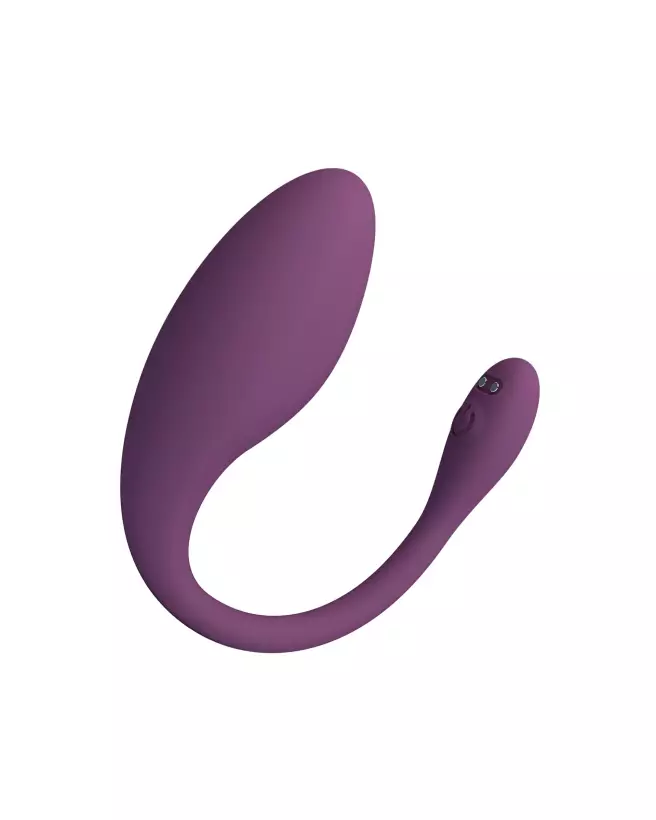 Image de l'œuf vibrant télécommandé PRETTY LOVE DORA, jouet érotique discret et puissant-4