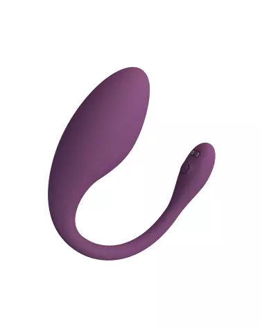 Image de l'œuf vibrant télécommandé PRETTY LOVE DORA, jouet érotique discret et puissant-4