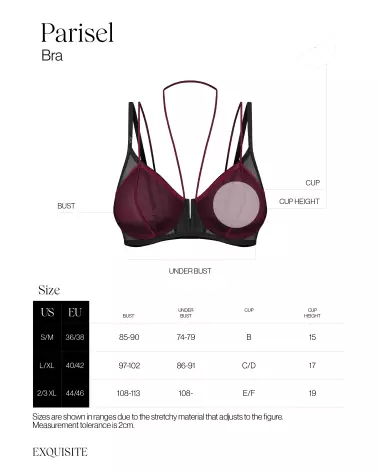 Image du soutien-gorge Parisel par Obsessive, élégant en noir et bordeaux-6