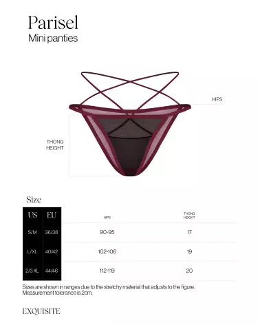 Obsessive Parisel Mini Culotte en bordeaux et noir avec détails élégants-5