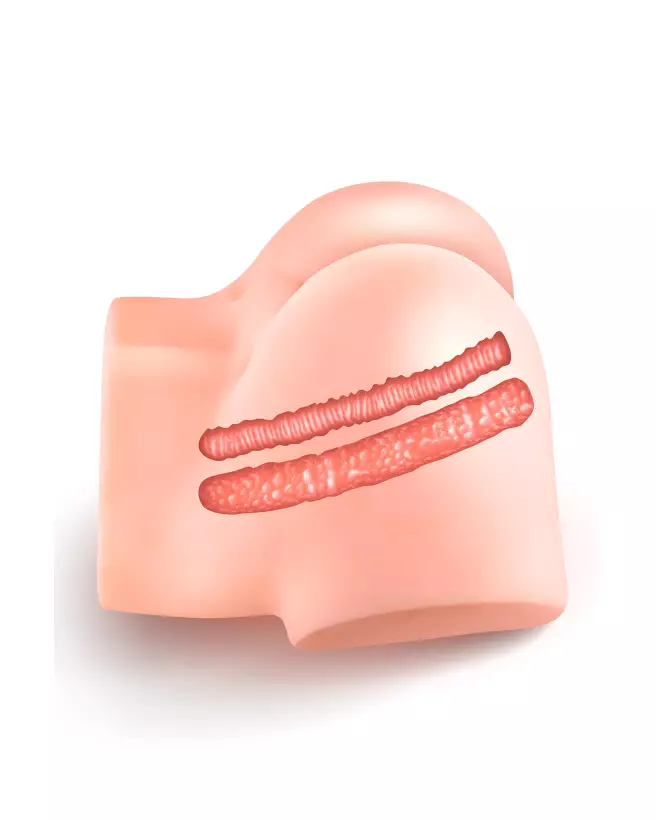 Image du masturbateur REAL BODY NINA pour une expérience réaliste et intense-8