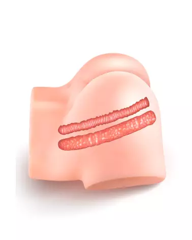 Image du masturbateur REAL BODY NINA pour une expérience réaliste et intense-8