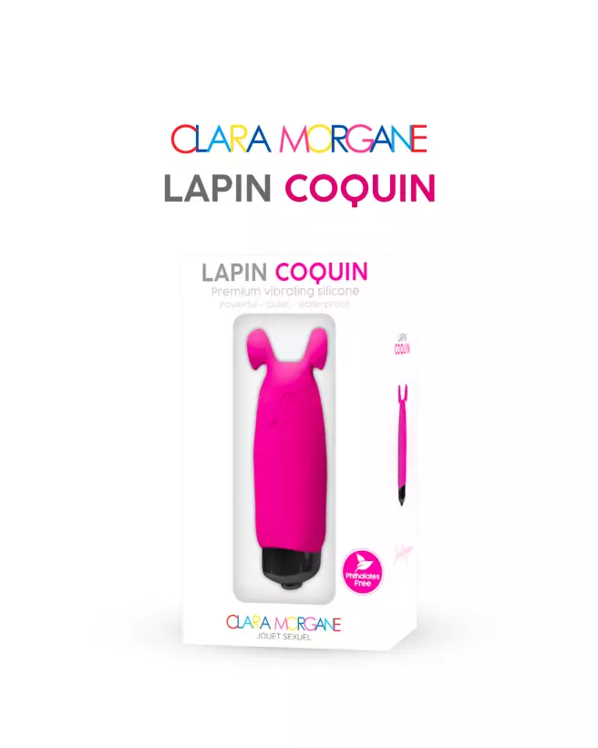 Lapin Coquin - image 3