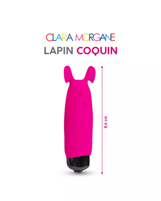 Lapin Coquin - image 2