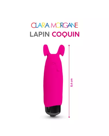 Lapin Coquin - image 2