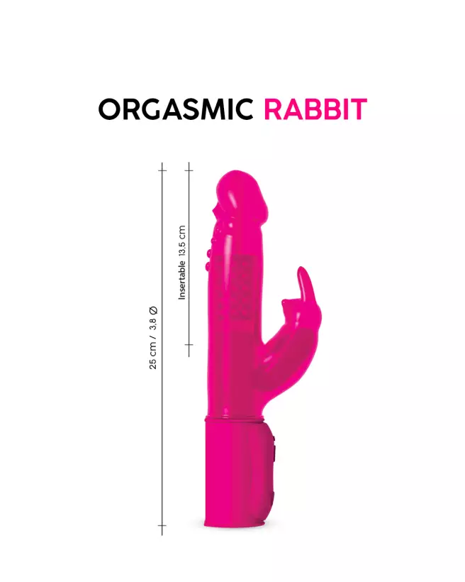 Orgasmic Rabbit - image 2