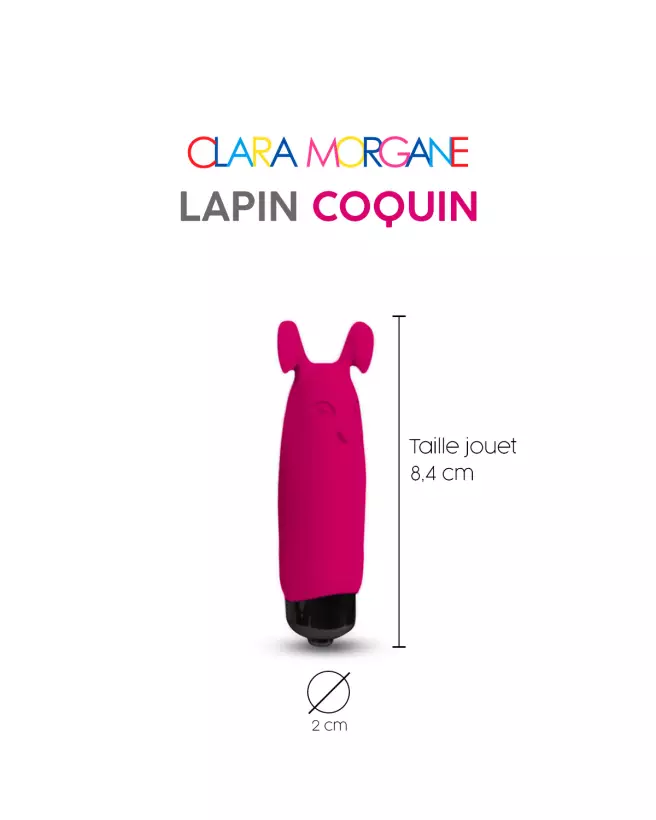 Lapin Coquin - image 5