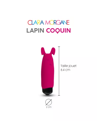 Lapin Coquin - image 5