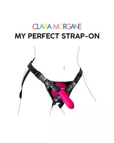 My Perfect Strap-On - image 2