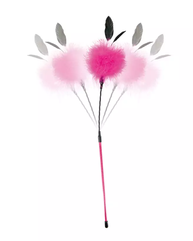 Cravache Pompon Pink Sweet Caress pour jeux BDSM et domination douce-3