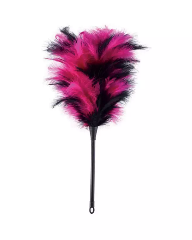 Plumeau coquin noir et rose de FUN NOVELTIES pour jeux érotiques-1