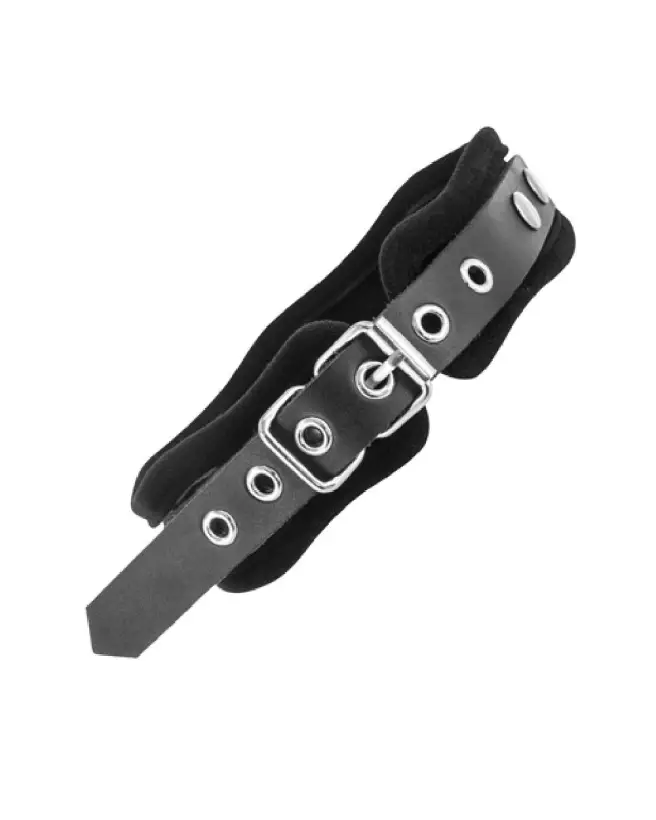 Collier et Laisse en Cuir Bovin BLK de Fetish Premium pour Chiens-2