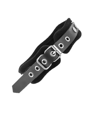 Collier et Laisse en Cuir Bovin BLK de Fetish Premium pour Chiens-2