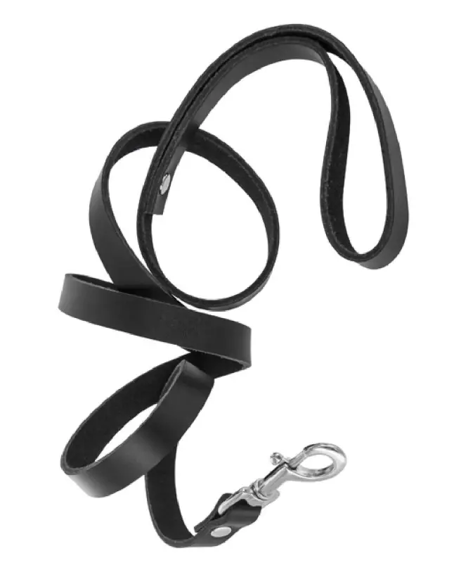 Collier et Laisse en Cuir Bovin BLK de Fetish Premium pour Chiens-3
