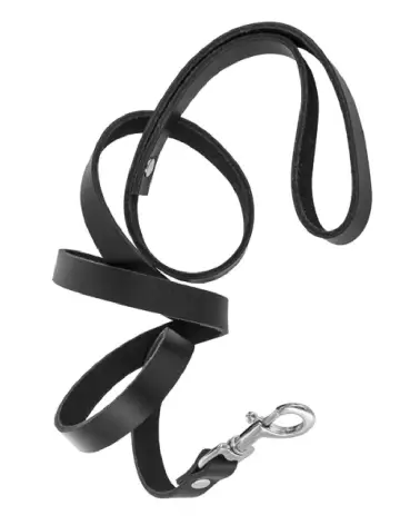 Collier et Laisse en Cuir Bovin BLK de Fetish Premium pour Chiens-3