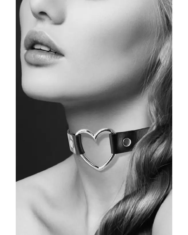 Collier Cœur Bijoux Pour Toi pour animaux élégants et stylés-3