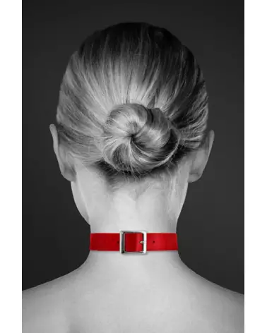 Collier Fetish Rouge élégant de Bijoux Pour Toi pour animaux-4