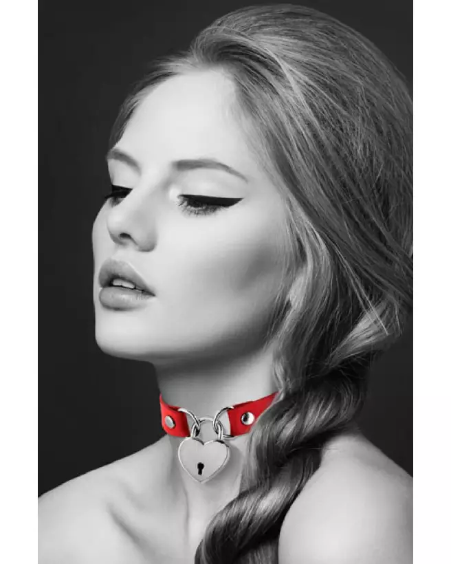 Collier Pendentif Cœur Rouge pour Chiens de BIJOUX POUR TOI-1