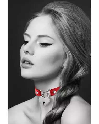 Collier Pendentif Cœur Rouge pour Chiens de BIJOUX POUR TOI-1