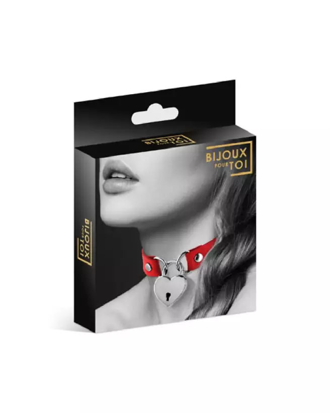 Collier Pendentif Cœur Rouge pour Chiens de BIJOUX POUR TOI-2