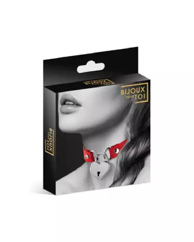 Collier Pendentif Cœur Rouge pour Chiens de BIJOUX POUR TOI-2