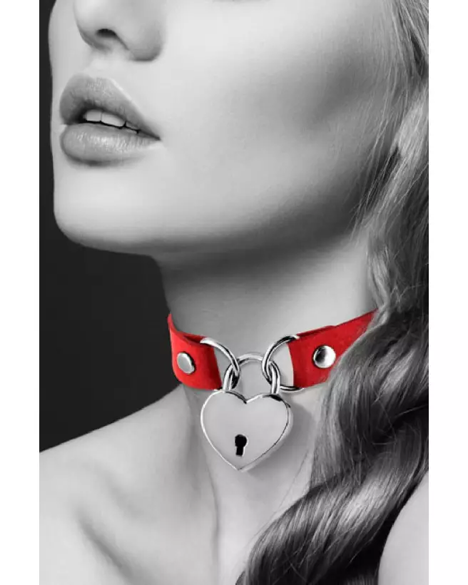 Collier Pendentif Cœur Rouge pour Chiens de BIJOUX POUR TOI-3