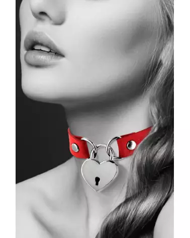 Collier Pendentif Cœur Rouge pour Chiens de BIJOUX POUR TOI-3