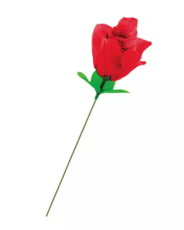 Image du produit ROSE TU ROUGE par FUN NOVELTIES, parfait pour rire et divertissement-3