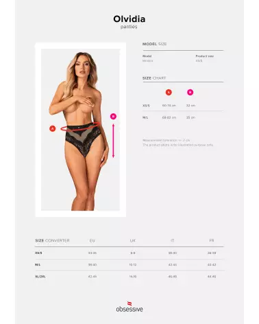 Image de la culotte Olvidia par Obsessive, lingerie confortable et élégante-12