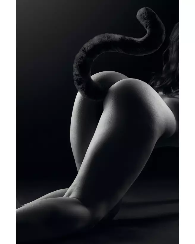 Image du CAT PLUG TAIL BLACK, plug anal Sweet Caress, stimulation et confort-3