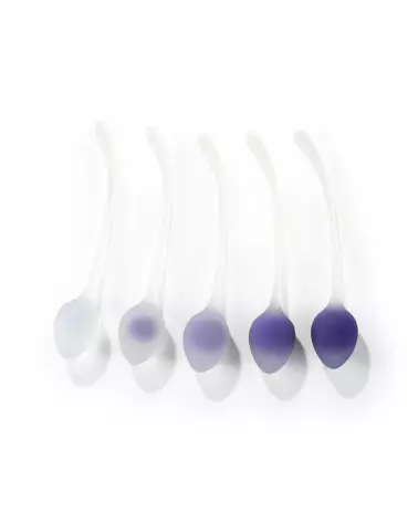Image du set de 5 Boules de Geisha Purple Honey Play Box pour tonification pelvienne-2