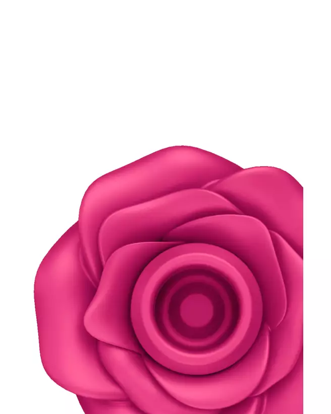 Satisfyer Pro 2 Classic Blossom, stimulateur clitoridien élégant et efficace-4