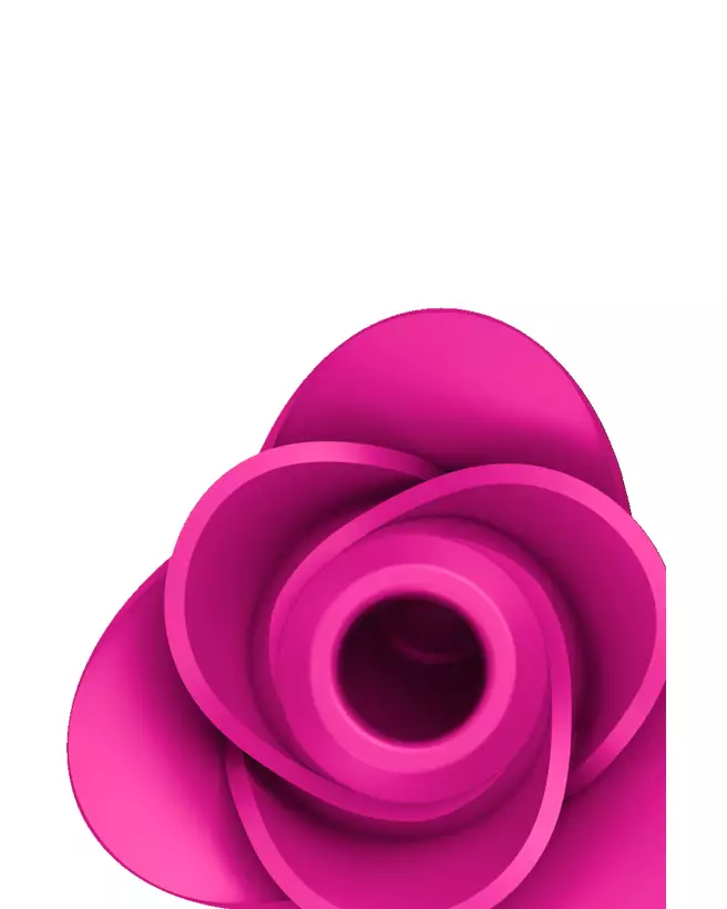Image du Satisfyer Pro 2 Modern Blossom, stimulateur clitoridien innovant-4
