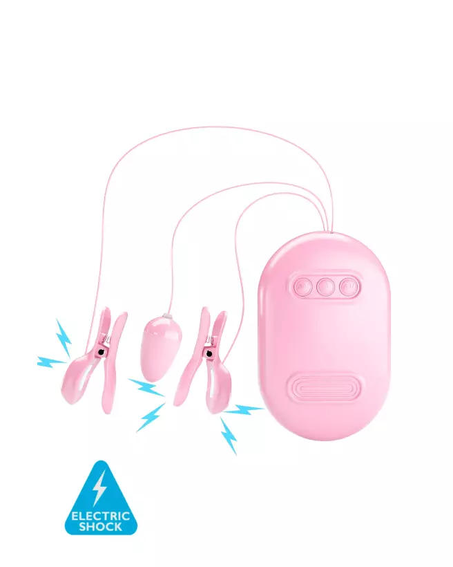 Pretty Love Surprise Box Rose œuf vibrant télécommandé pour stimulation discrète-1