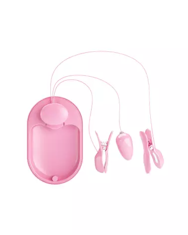 Pretty Love Surprise Box Rose œuf vibrant télécommandé pour stimulation discrète-3