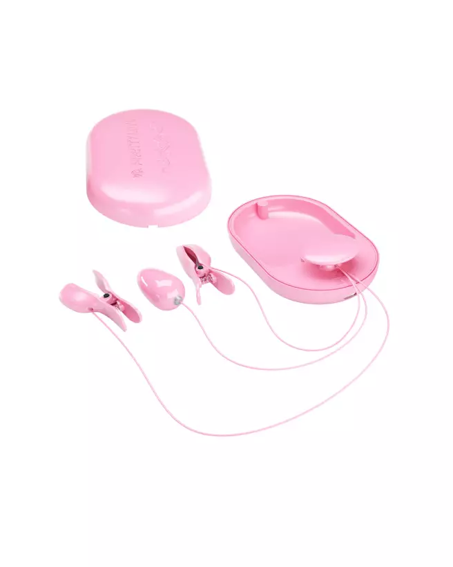 Pretty Love Surprise Box Rose œuf vibrant télécommandé pour stimulation discrète-4
