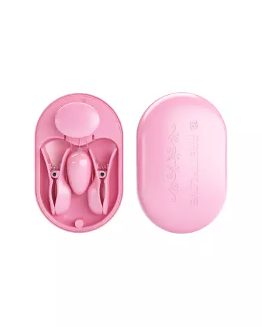 Pretty Love Surprise Box Rose œuf vibrant télécommandé pour stimulation discrète-6
